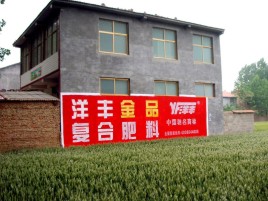 开化如何让墙体广告展现最大化效果