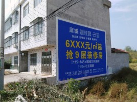 开化墙体广告质量分析