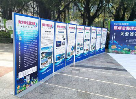 开化KT板的种类和知识。